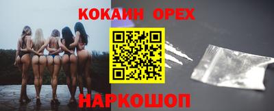 молекула духа Будённовск