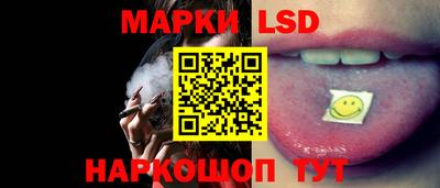 молекула духа Будённовск