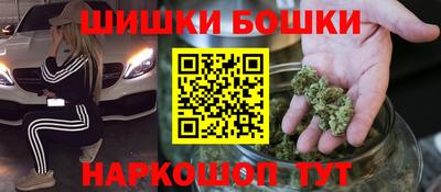 молекула духа Будённовск