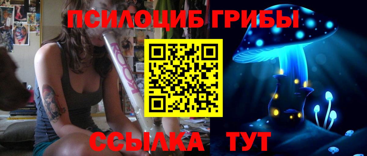 наркошоп  Псилоцибиновые грибы Psilocybe  Псилоцибиновые грибы GOLDEN TEACHER  Вход с VPN  Балаково 